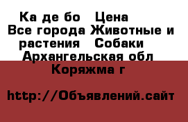 Ка де бо › Цена ­ 25 - Все города Животные и растения » Собаки   . Архангельская обл.,Коряжма г.